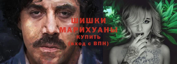СК Покров