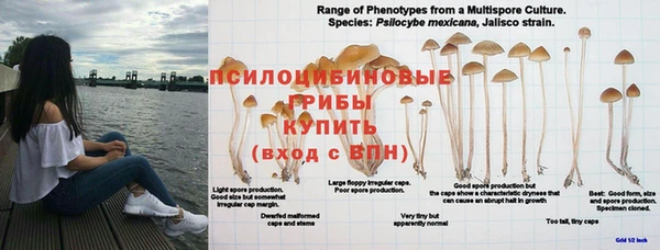 СК Покров